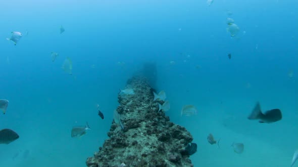 Following an underwater pipeline while scuba diving in the ocean