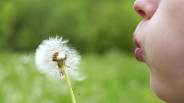 Blowing worries away from a dandelion flower instantly