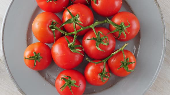 Red Ripe Tomatoes with Green Branch on Plate