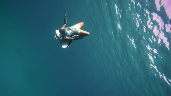 Beautiful Young Woman Swimming Underwater with Dolphins in Pristine Blue Ocean Water Amazing