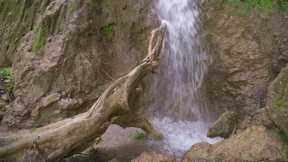 Waterfall And Tree