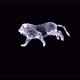 Lion Run 4k Alpha Plexus - VideoHive Item for Sale