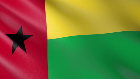 Flag of The Guinea-Bissau