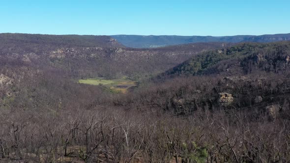 Aerial footage of forest regeneration after bushfires in The Blue Mountains in Australia