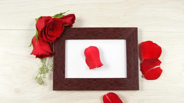 Red rose petal falling on the photo frame 4k