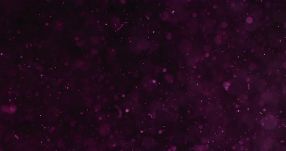 Purple Particles And Bubbles In Water Against Black Background