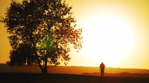 Silhouette Hiker with Backpack Walking Against the Background of a Large Tree at Sunset