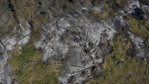 The Amazon rain forest left in ashes after a devastating bushfire - descending aerial view