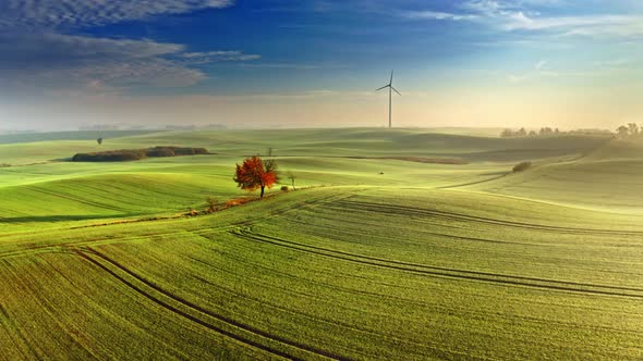 Wind turbine, red tree and green field, sunrise aerial view