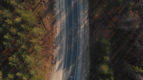 Air View As the Car Rides on the Road Through the Forest. The Car Goes Through the Forest. Aerial