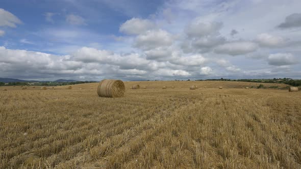 A hayfield with round bales