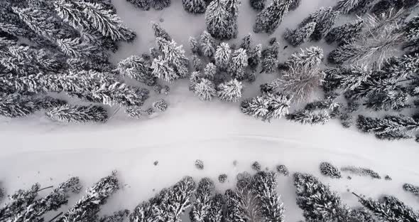 Forward Overhead Vertical Aerial Above Snowy Land with Woods Forest