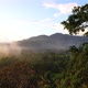 Jungle Sunrise Through Trees Into Foggy Mountains Aerial Shot - VideoHive Item for Sale