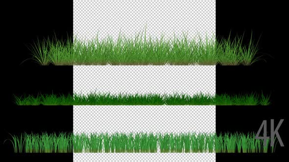 Bend, Patch and  Wild Growing Grass alt