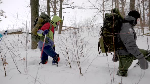 Winter Activity: Four Friends Go on a Hike in Forest in Winter, Extreme Trip.