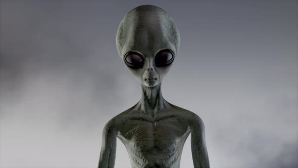 Scary Gray Alien Stands and Looks Blinking on a Dark Smoky Background alt