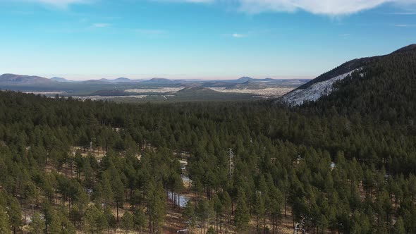 Ponderosa Pine Forest In Coconino National Forest - Flagstaff, AZ - Aerial