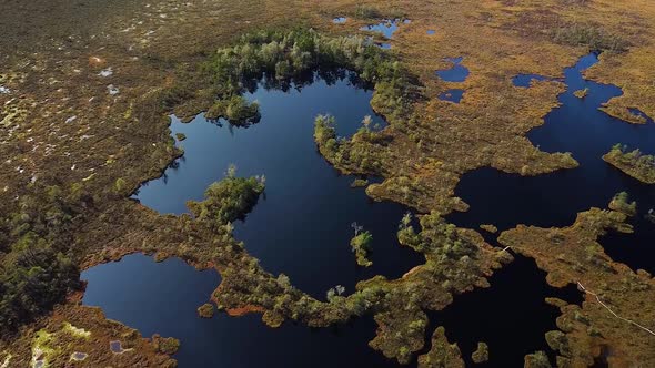 Aerial birdseye view of Dunika peat bog (mire) with small ponds in sunny autumn day, wide drone shot