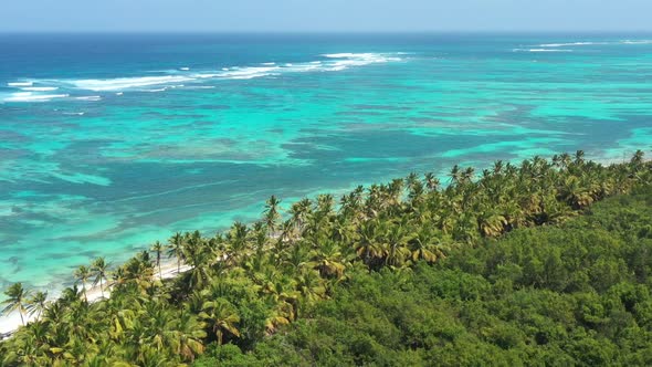 Wild Tropical Coastline with Coconut Palm Trees and Turquoise Caribbean Sea