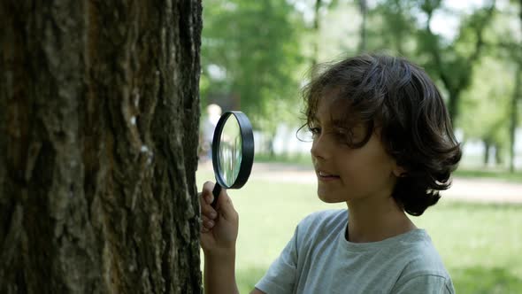 Cute, curly, little boy stands with a magnifying glass near a tree