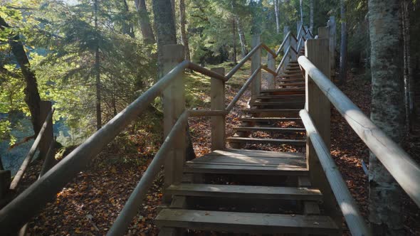 Climbing a wooden staircase in a spring park