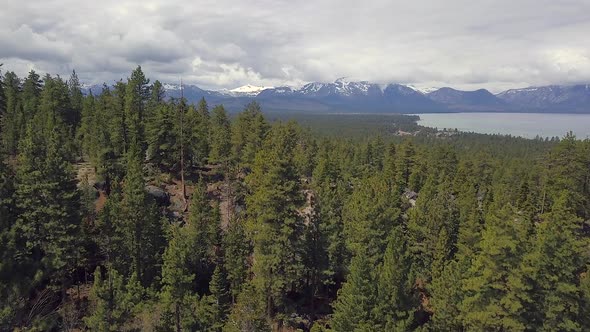 Drone footage of taken in south lake Tahoe of the forest, lake, and mountains. 4K