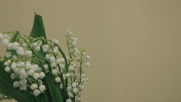 Cute lily of the valley composition