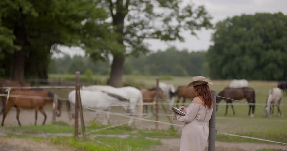 Woman Riding Horse on Farm. Recreation - Woman Walking with Horse