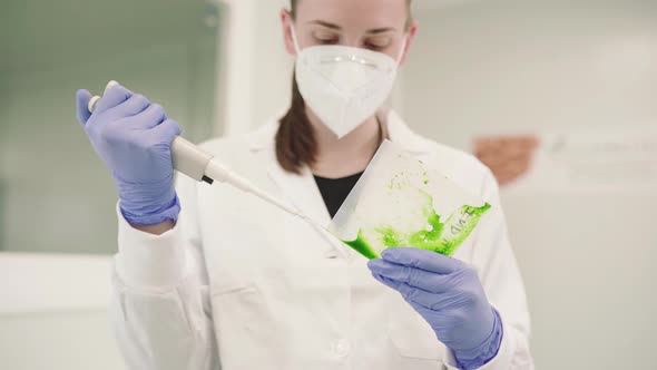 Female Researcher Measures The Green Fluid Culture With The Pipettor. medium shot
