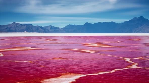 Beautiful View of Pink Lake on Summer Day