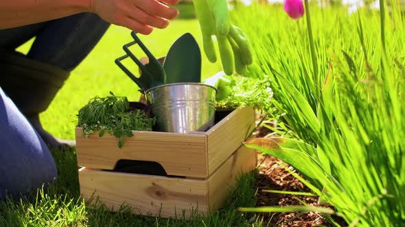 Man with Tools in Box at Summer Garden