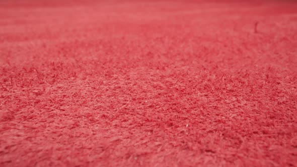 Textured Surface of Red Cow Leather Material Sheet