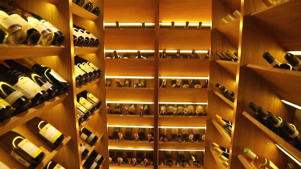 Wine Cabinet with Collection Wines