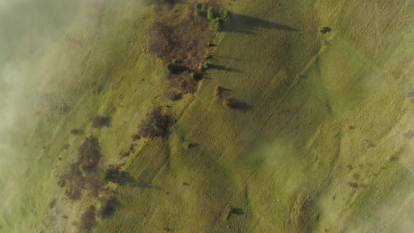 Grassland during a foggy day. Aerial top-down