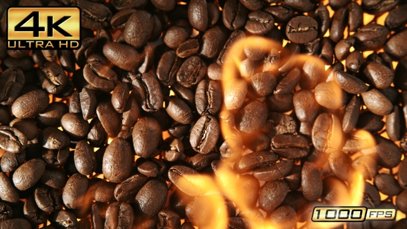 Coffee Beans in Flames
