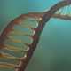 DNA v3 - VideoHive Item for Sale