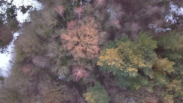 Birds Eye View Drone Shot of a Forest with Some Snow on the Ground