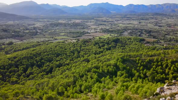 Leaping Of Cliff Over Forest With Mountains In The Background In Spain