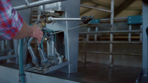 Farm Worker Checking Milking System on Barn Closeup