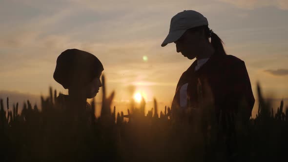 Young Mother Farmer Teaches Her Daughter To Work in a Wheat Field. Silhouette of a Farmers Family in