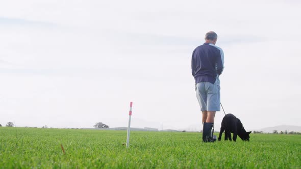 Shepherd dog walking with his owner in the farm