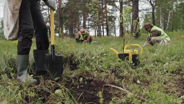 Gardener Digging in Forest