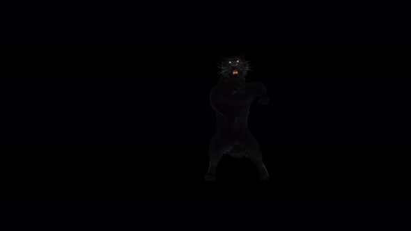 Panther Dancing 4K