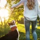 Beautiful Brunette Playing with Dog in Nature During Sunset - VideoHive Item for Sale