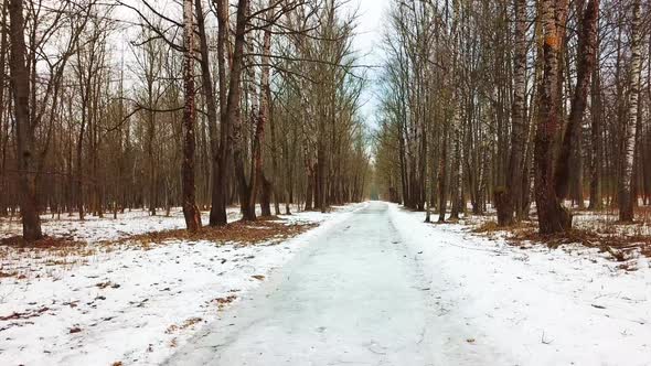 Spring Walk In The Park