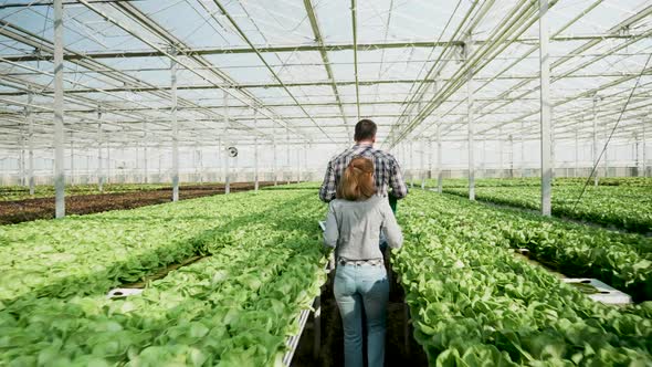 Back View of Agronomy Engineers Walking in a Greenhouse