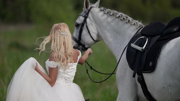 Beautiful Bride and White Horse are Walking in Meadow Rear View Slow Motion