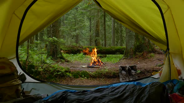 A View From a Tourist Tent to a Bonfire and a Magical Forest