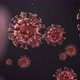 The virus Coronavirus (COVID-19) medical animation. - VideoHive Item for Sale