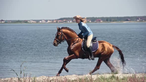 Happy Cowgirl Galloping on Russian Don Mare